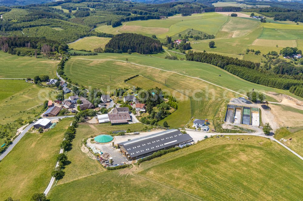 Balve from the bird's eye view: Animal breeding stables in Balve in the state North Rhine-Westphalia, Germany