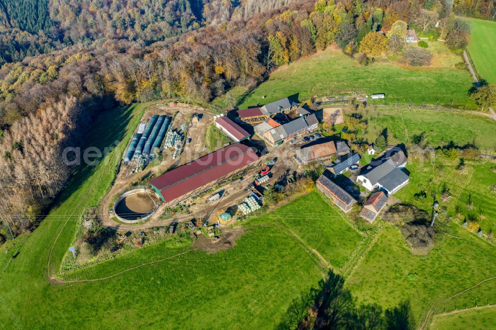 Aerial photograph Großgrimberg - Animal breeding stables in Grossgrimberg in the federal state of North Rhine-Westphalia, Germany