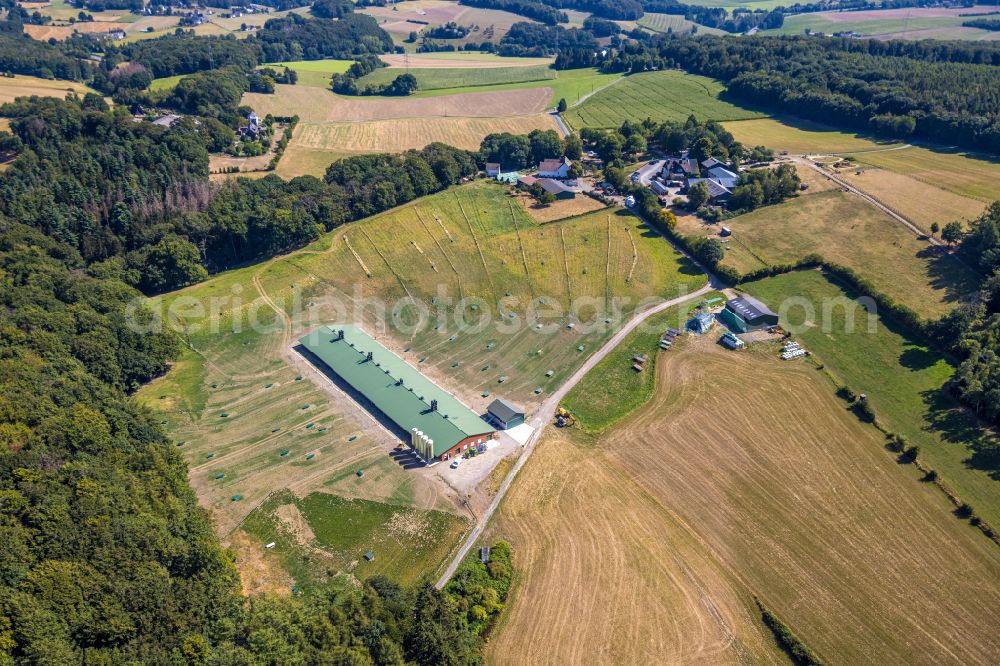 Aerial photograph Niederelfringhausen - Animal breeding stables in Niederelfringhausen at Ruhrgebiet in the state North Rhine-Westphalia, Germany