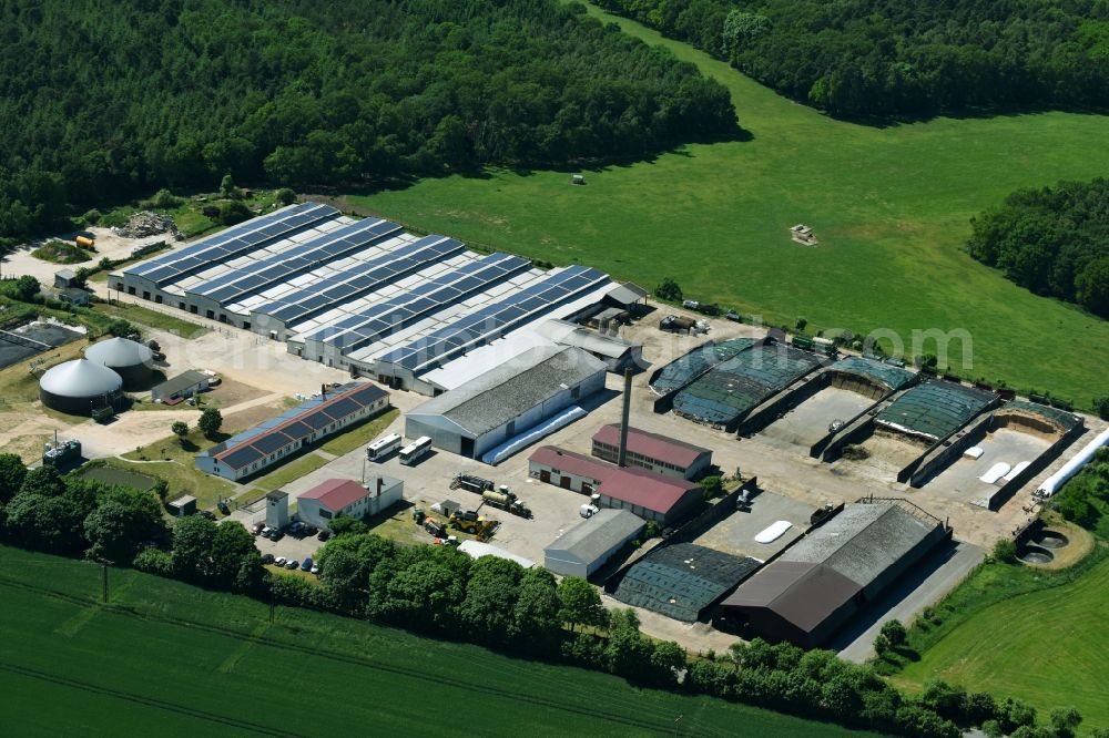 Aerial photograph Jeetze - Stockbreeding stable arrangements Cattle breeding for the meat production in Jeetze in the federal state Saxony-Anhalt, Germany