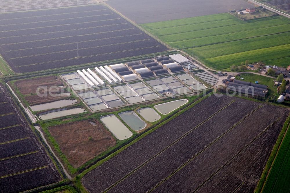 Codigoro from above - Animal breeding equipment Livestock breeding for meat production in Codigoro in Emilia-Romagna, Italy