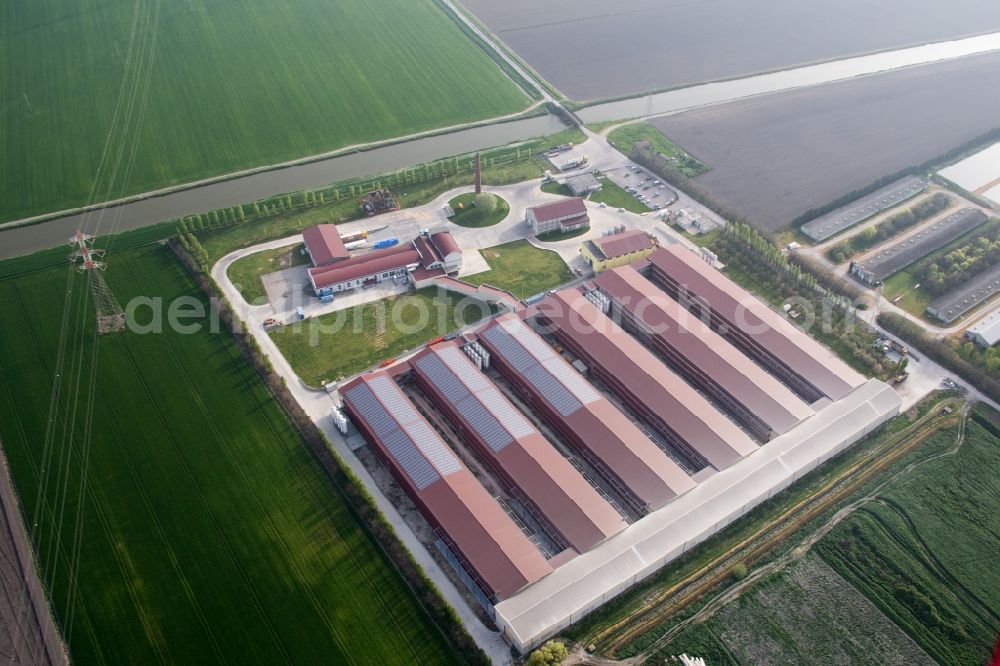 Codigoro from the bird's eye view: Animal breeding equipment Livestock breeding for meat production in Codigoro in Emilia-Romagna, Italy