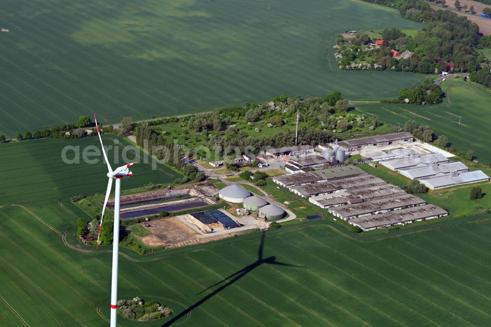 Aerial image Bandenitz - Animal breeding equipment Livestock breeding for meat production on street Am Besendorfer Berg in Bandenitz in the state Mecklenburg - Western Pomerania, Germany