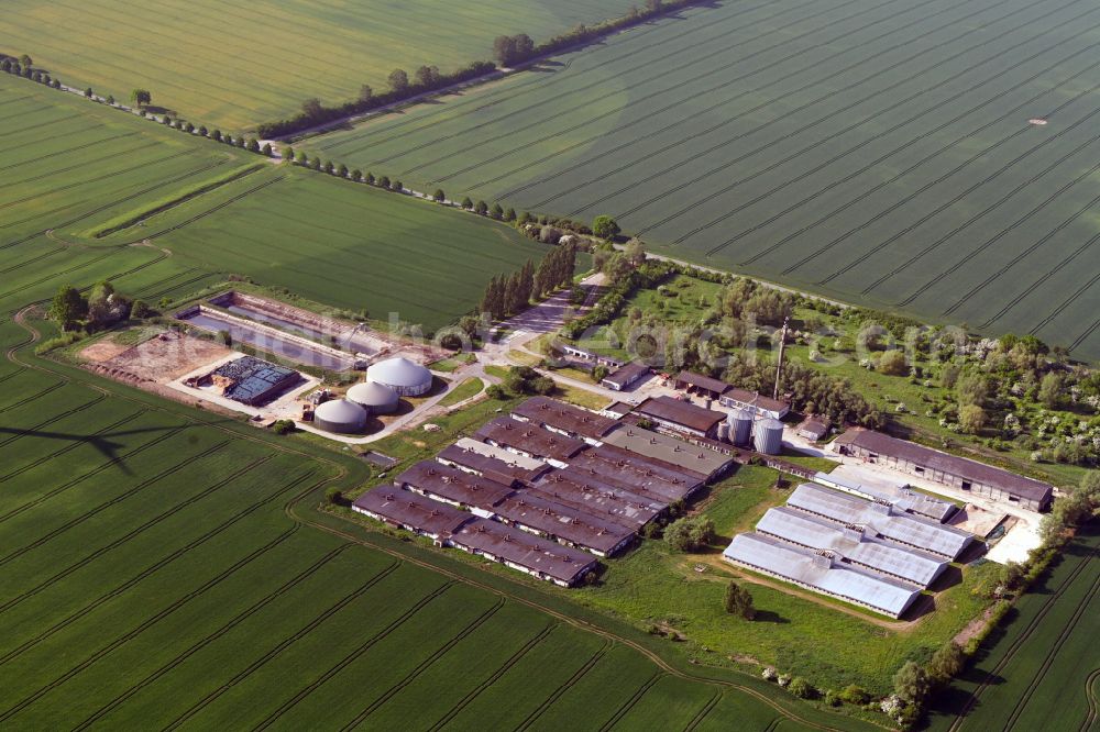 Aerial image Bandenitz - Animal breeding equipment Livestock breeding for meat production on street Am Besendorfer Berg in Bandenitz in the state Mecklenburg - Western Pomerania, Germany