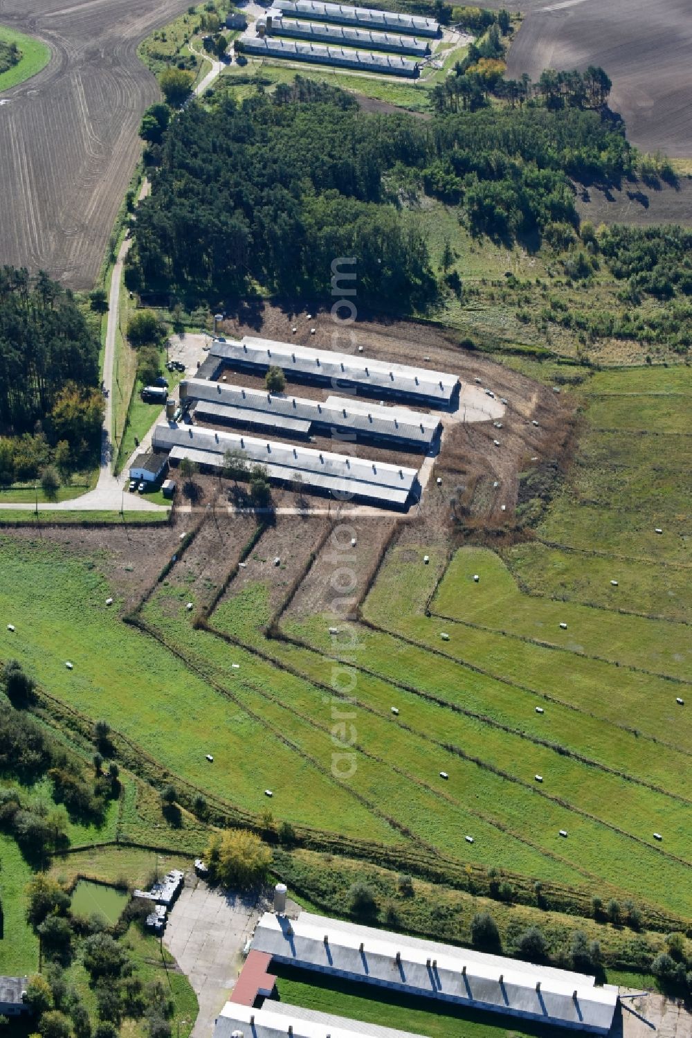 Bliesdorf from above - Animal breeding equipment Livestock breeding for meat production in Bliesdorf in the state Brandenburg, Germany