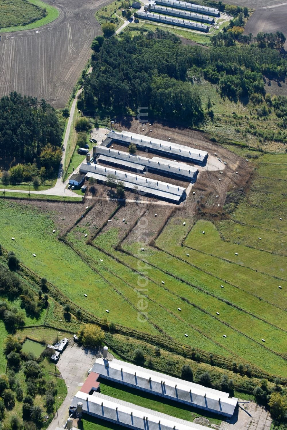 Bliesdorf from the bird's eye view: Animal breeding equipment Livestock breeding for meat production in Bliesdorf in the state Brandenburg, Germany