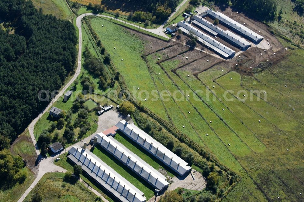 Aerial photograph Bliesdorf - Animal breeding equipment Livestock breeding for meat production in Bliesdorf in the state Brandenburg, Germany