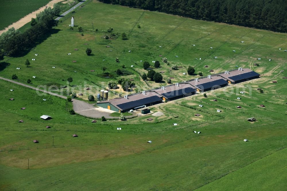 Aerial image Buchholz - Animal breeding equipment Livestock breeding for meat production in Buchholz in the state Mecklenburg - Western Pomerania