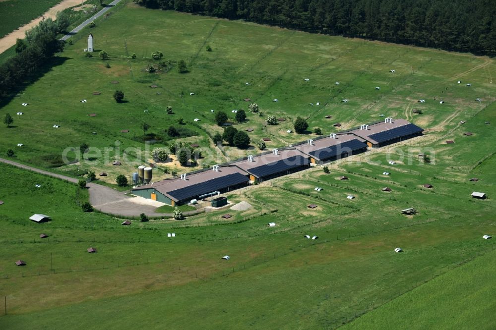 Buchholz from above - Animal breeding equipment Livestock breeding for meat production in Buchholz in the state Mecklenburg - Western Pomerania