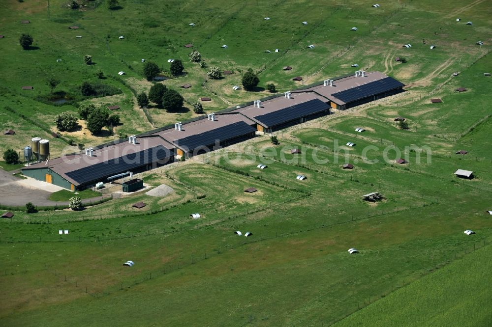 Buchholz from the bird's eye view: Animal breeding equipment Livestock breeding for meat production in Buchholz in the state Mecklenburg - Western Pomerania