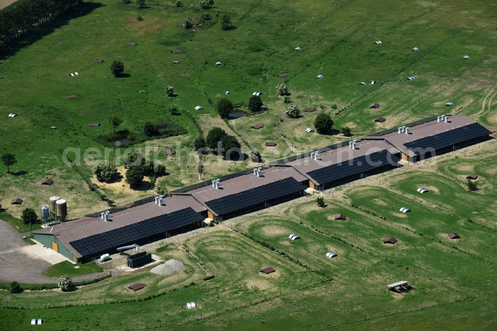 Aerial image Buchholz - Animal breeding equipment Livestock breeding for meat production in Buchholz in the state Mecklenburg - Western Pomerania