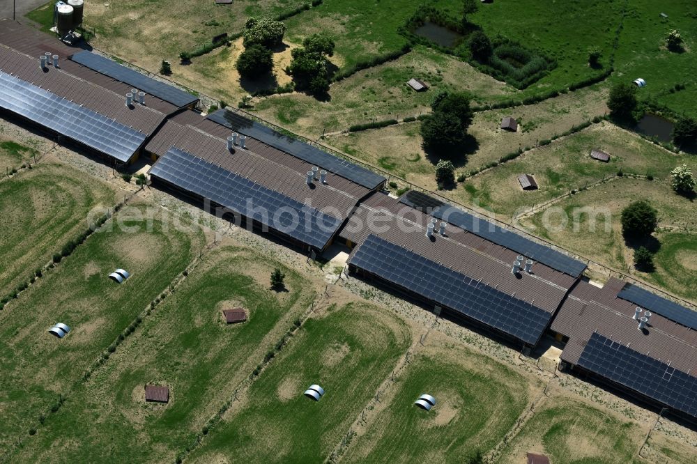 Aerial photograph Buchholz - Animal breeding equipment Livestock breeding for meat production in Buchholz in the state Mecklenburg - Western Pomerania