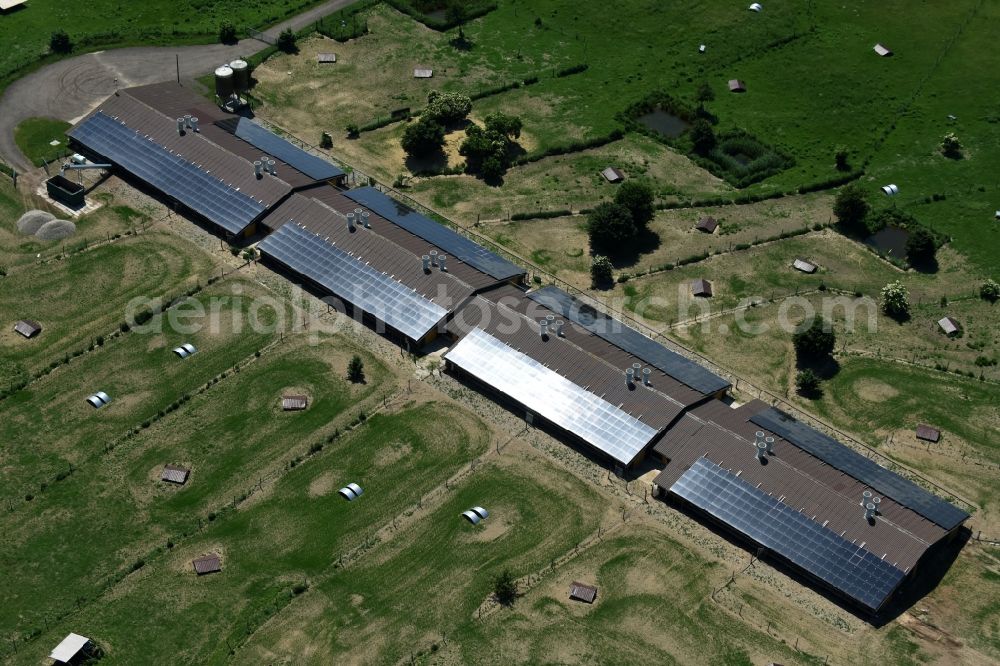 Buchholz from above - Animal breeding equipment Livestock breeding for meat production in Buchholz in the state Mecklenburg - Western Pomerania