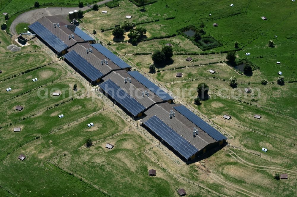 Buchholz from the bird's eye view: Animal breeding equipment Livestock breeding for meat production in Buchholz in the state Mecklenburg - Western Pomerania