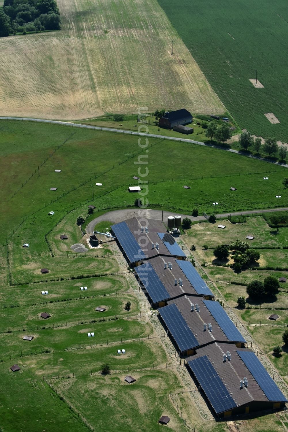 Aerial image Buchholz - Animal breeding equipment Livestock breeding for meat production in Buchholz in the state Mecklenburg - Western Pomerania