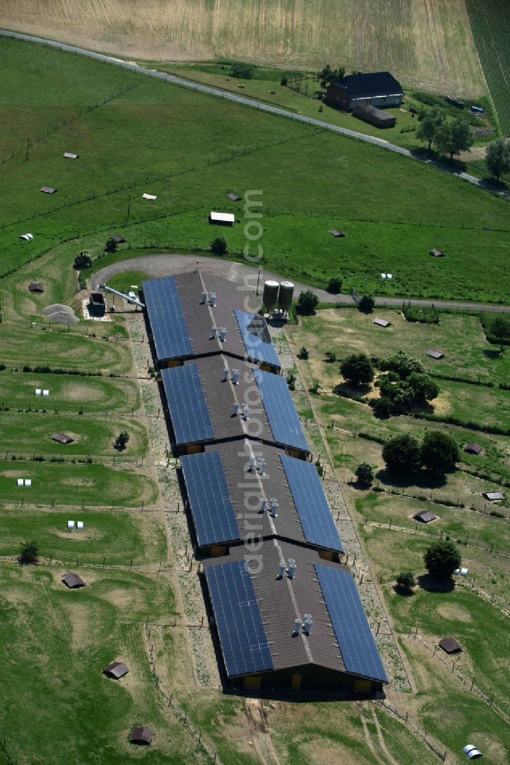 Buchholz from above - Animal breeding equipment Livestock breeding for meat production in Buchholz in the state Mecklenburg - Western Pomerania