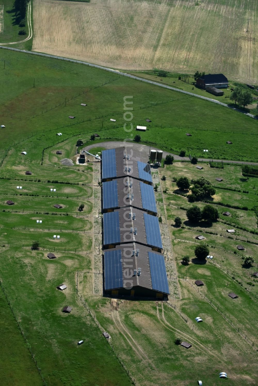 Buchholz from the bird's eye view: Animal breeding equipment Livestock breeding for meat production in Buchholz in the state Mecklenburg - Western Pomerania