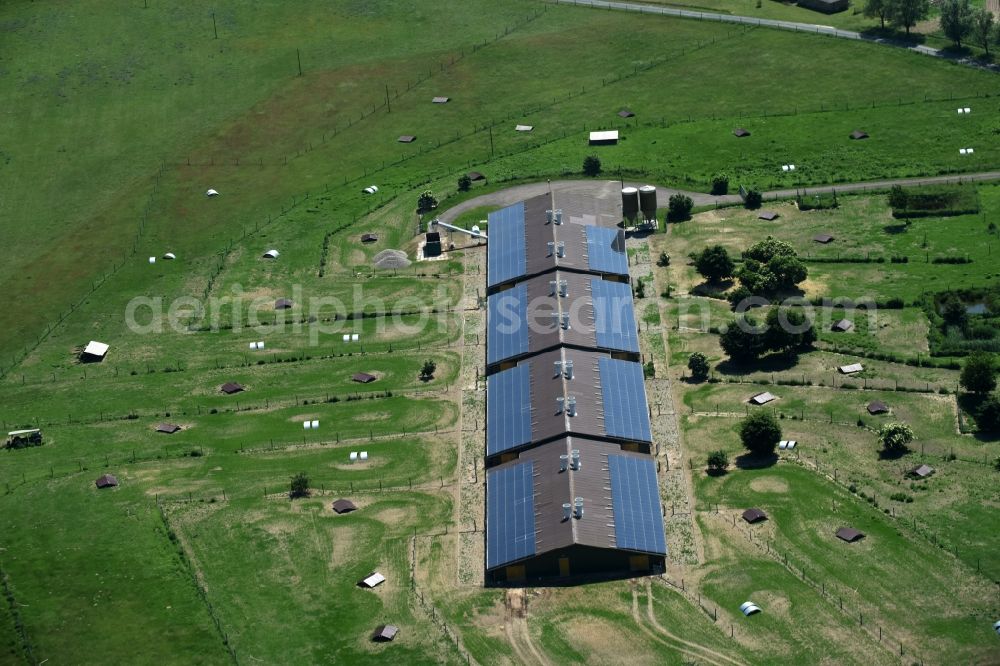 Aerial image Buchholz - Animal breeding equipment Livestock breeding for meat production in Buchholz in the state Mecklenburg - Western Pomerania