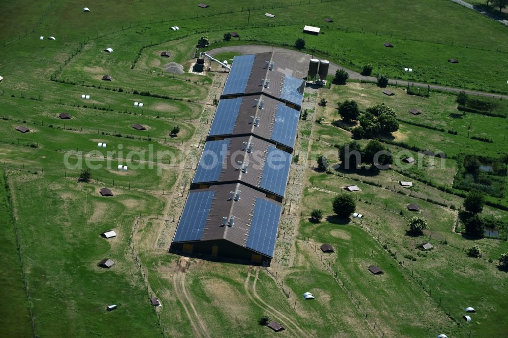 Aerial photograph Buchholz - Animal breeding equipment Livestock breeding for meat production in Buchholz in the state Mecklenburg - Western Pomerania