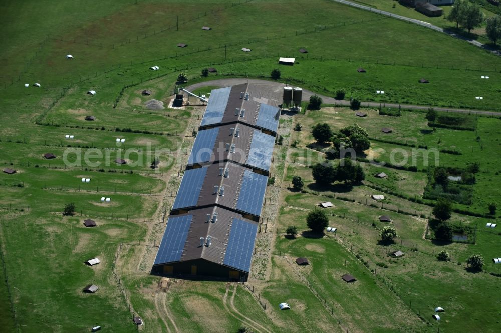 Buchholz from above - Animal breeding equipment Livestock breeding for meat production in Buchholz in the state Mecklenburg - Western Pomerania