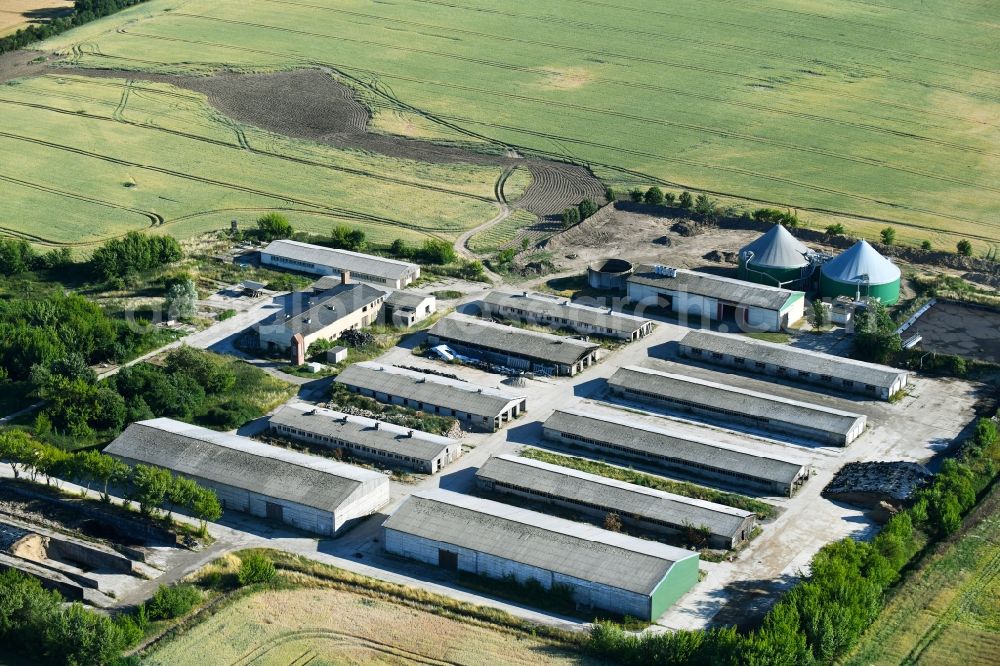 Carolinenhof from the bird's eye view: Animal breeding equipment Livestock breeding for meat production in Carolinenhof in the state Mecklenburg - Western Pomerania, Germany