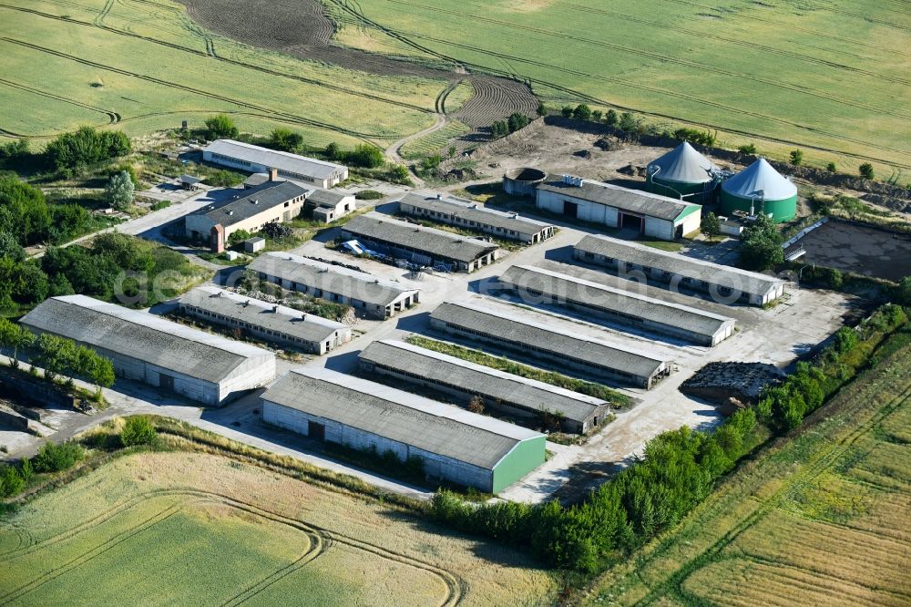 Aerial image Carolinenhof - Animal breeding equipment Livestock breeding for meat production in Carolinenhof in the state Mecklenburg - Western Pomerania, Germany