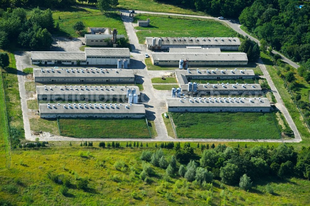 Criewen from above - Animal breeding equipment Livestock breeding for meat production in Criewen in the state Brandenburg, Germany