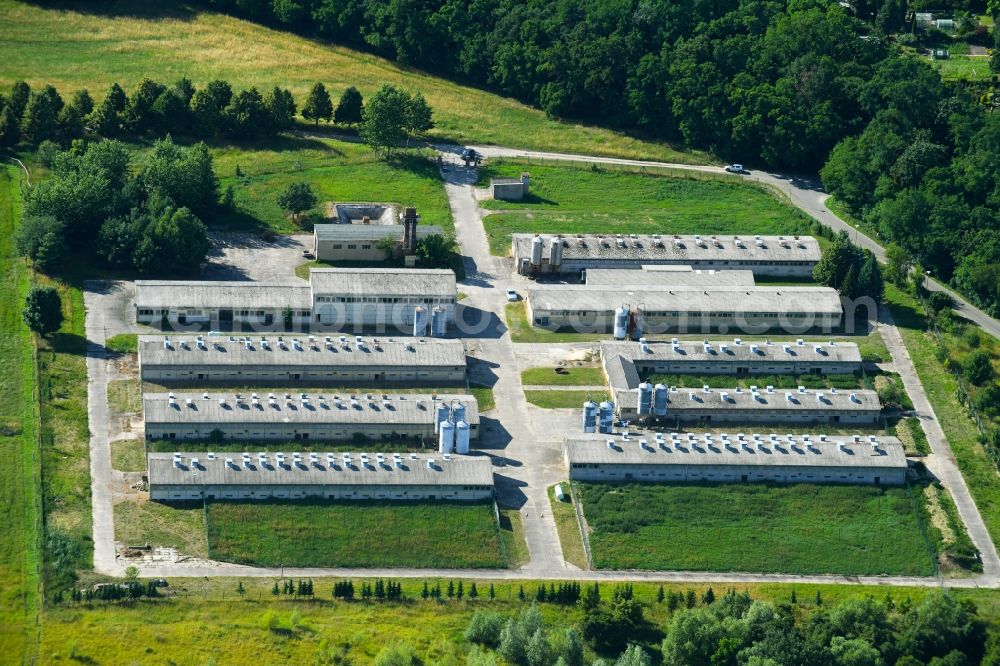 Criewen from the bird's eye view: Animal breeding equipment Livestock breeding for meat production in Criewen in the state Brandenburg, Germany