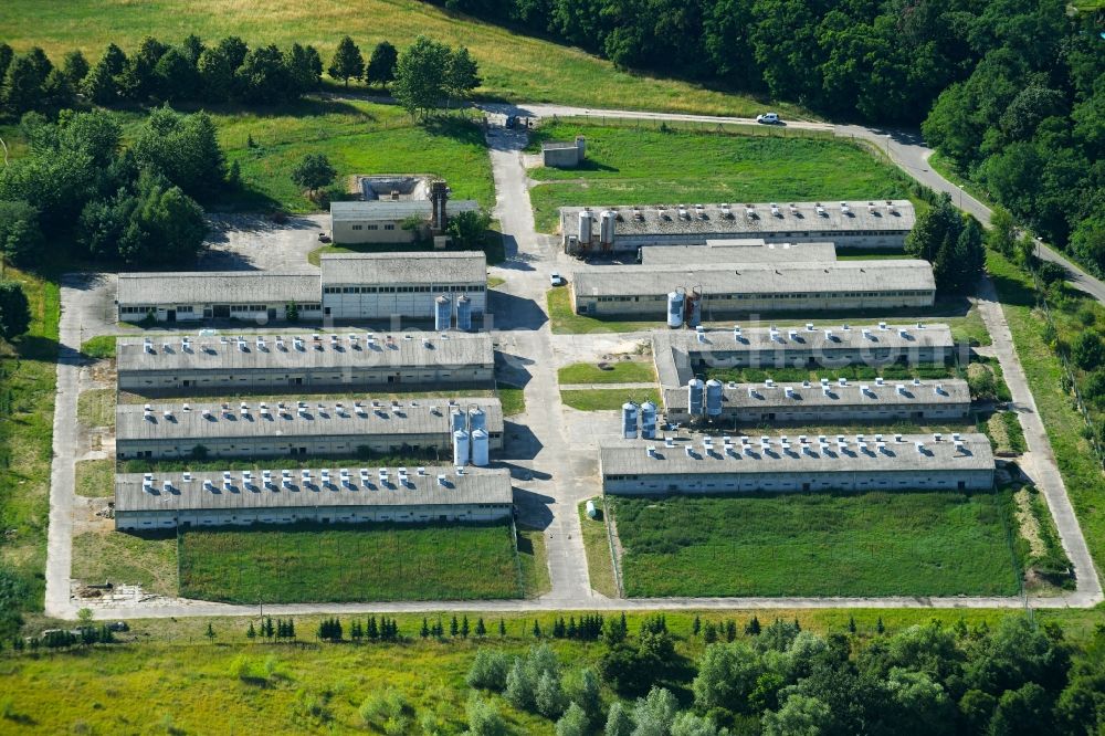 Aerial image Criewen - Animal breeding equipment Livestock breeding for meat production in Criewen in the state Brandenburg, Germany