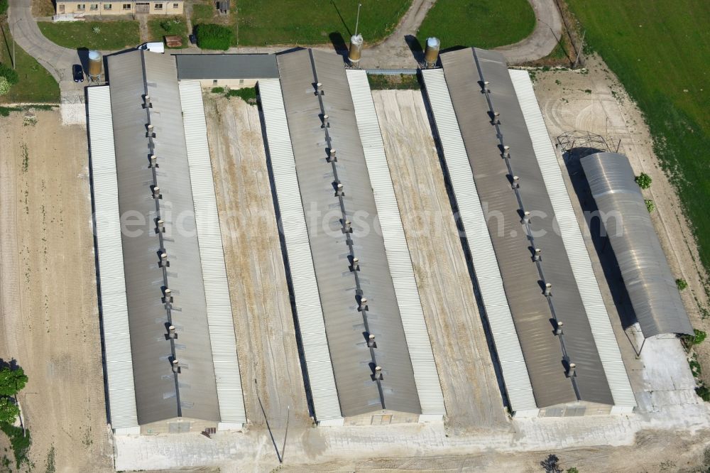 Elbe-Parey from above - Animal breeding equipment Livestock breeding for meat production in Elbe-Parey in the state Saxony-Anhalt