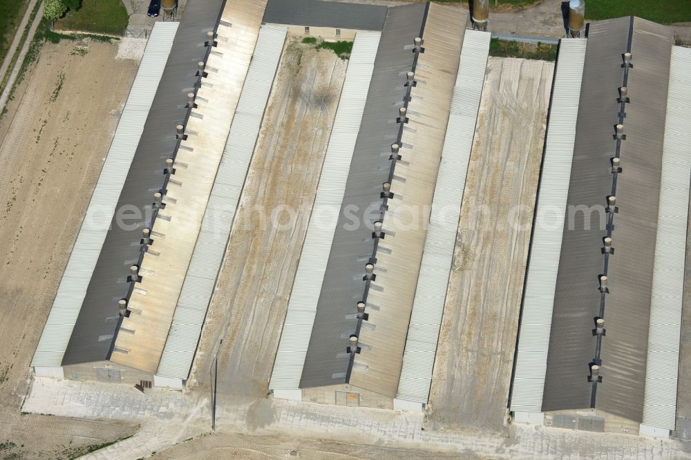 Aerial image Elbe-Parey - Animal breeding equipment Livestock breeding for meat production in Elbe-Parey in the state Saxony-Anhalt