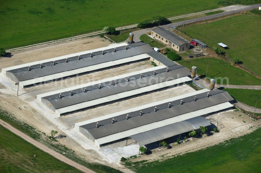 Aerial photograph Elbe-Parey - Animal breeding equipment Livestock breeding for meat production in Elbe-Parey in the state Saxony-Anhalt