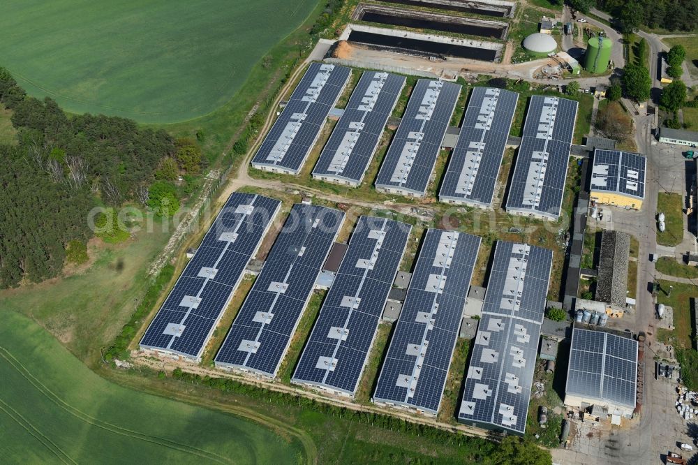 Aerial photograph Kloster Lehnin - Animal breeding equipment Livestock breeding for meat production of Emerald Irish Porc GmbH on Rietzer Berg in Kloster Lehnin in the state Brandenburg, Germany