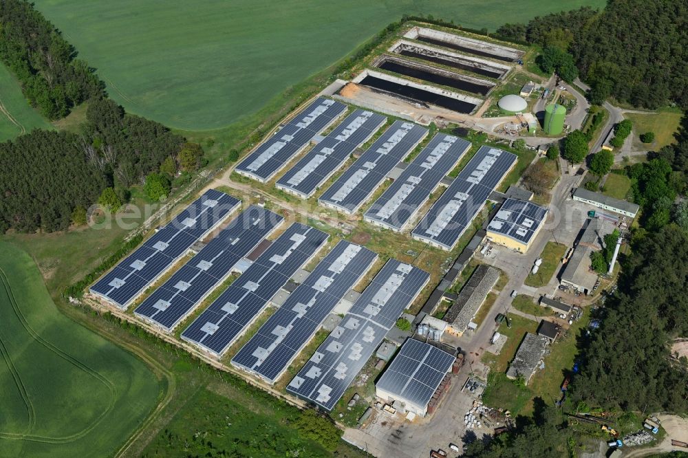 Kloster Lehnin from above - Animal breeding equipment Livestock breeding for meat production of Emerald Irish Porc GmbH on Rietzer Berg in Kloster Lehnin in the state Brandenburg, Germany