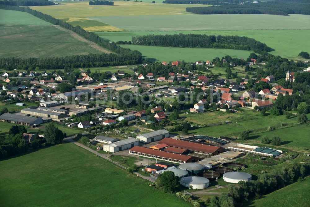 Fehrbellin from the bird's eye view: Animal breeding equipment Livestock breeding for meat production in Fehrbellin in the state Brandenburg