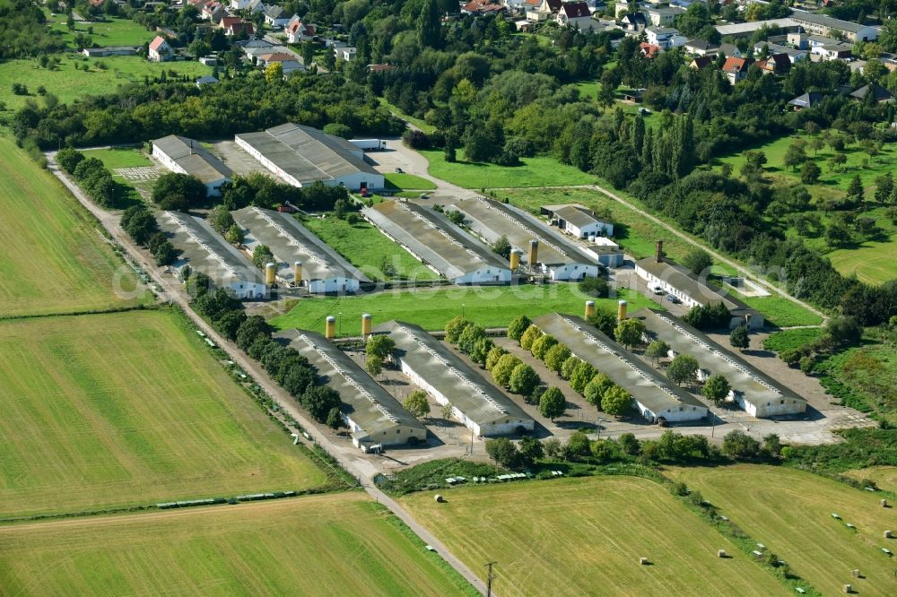 Aerial photograph Halberstadt - Animal breeding equipment Livestock breeding for meat production in Halberstadt in the state Saxony-Anhalt, Germany