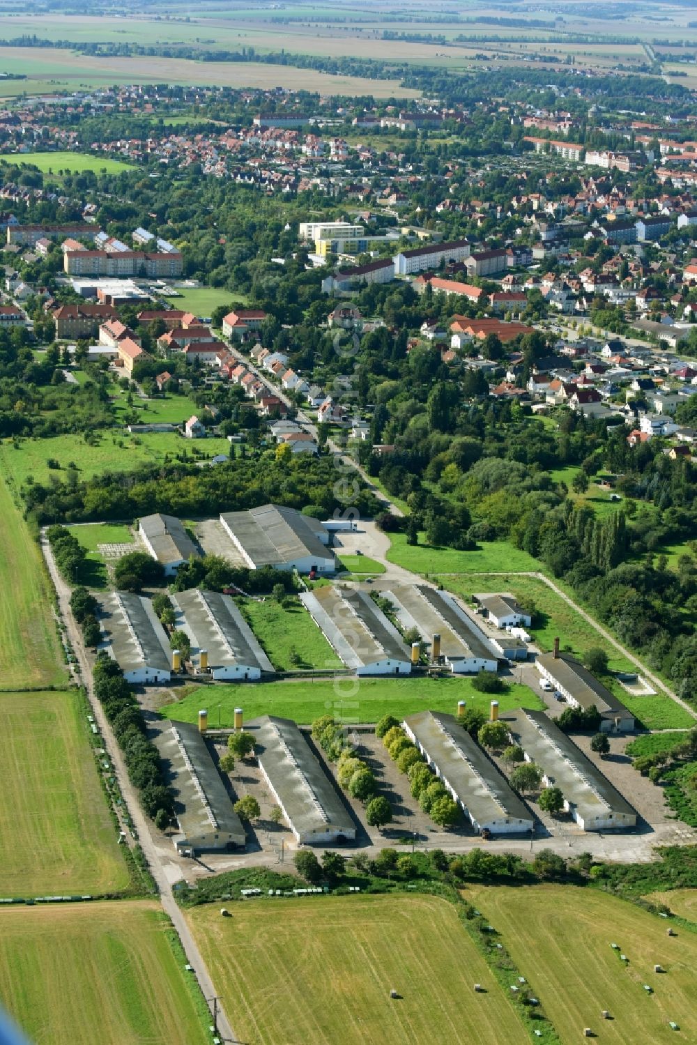 Aerial image Halberstadt - Animal breeding equipment Livestock breeding for meat production in Halberstadt in the state Saxony-Anhalt, Germany