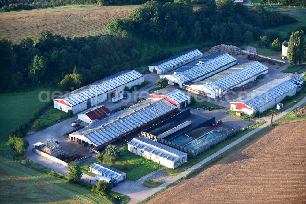 Aerial image Harzungen - Animal breeding equipment Livestock breeding for meat production in Harzungen in the state Thuringia, Germany