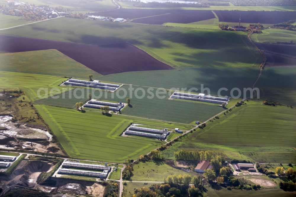 Aerial photograph Landsberg - Animal breeding equipment Livestock breeding for meat production in Landsberg in the state Saxony-Anhalt