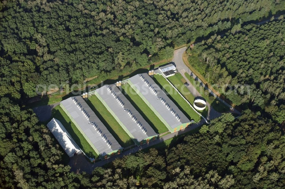 Neukirchen/Erzgebirge from above - Animal breeding equipment Livestock breeding for meat production in Neukirchen/Erzgebirge in the state Saxony