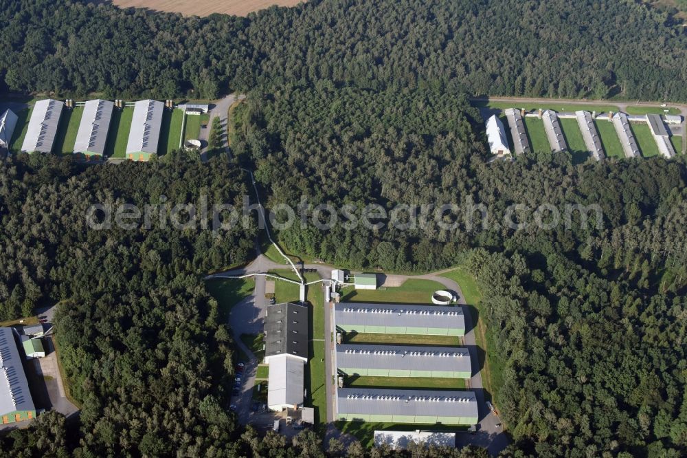 Neukirchen/Erzgebirge from the bird's eye view: Animal breeding equipment Livestock breeding for meat production in Neukirchen/Erzgebirge in the state Saxony