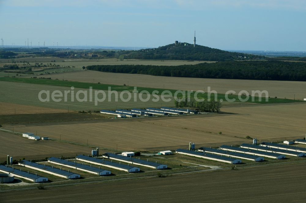 Aerial photograph Oppin - Animal breeding equipment Livestock breeding for meat production in Oppin in the state Saxony-Anhalt, Germany