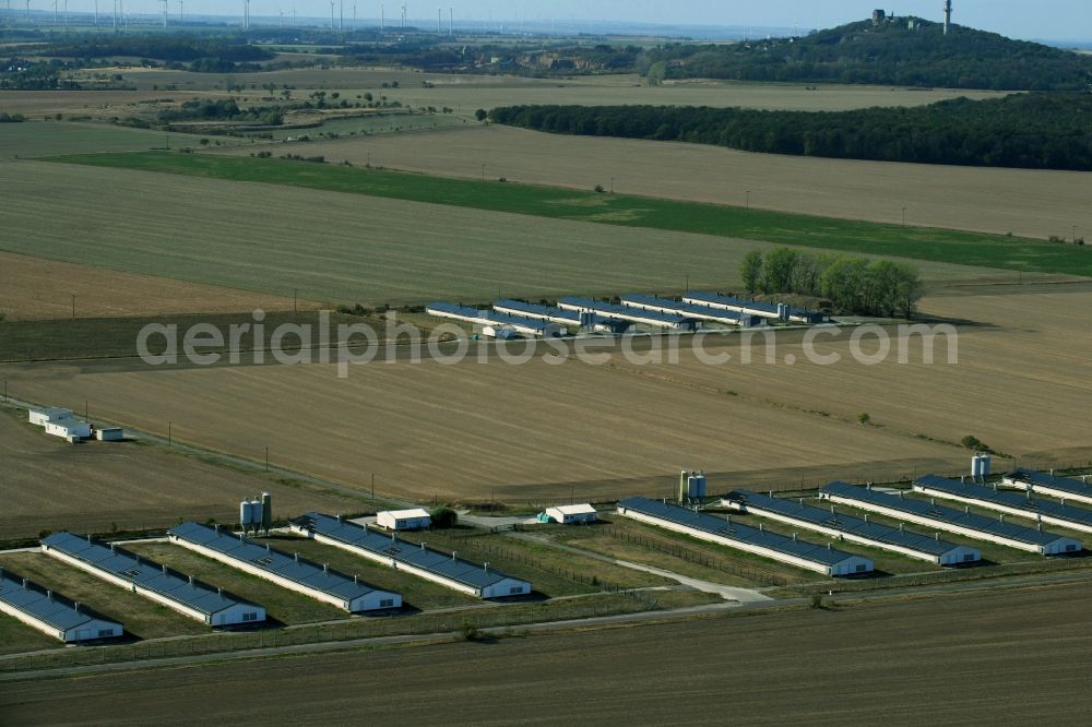 Oppin from the bird's eye view: Animal breeding equipment Livestock breeding for meat production in Oppin in the state Saxony-Anhalt, Germany