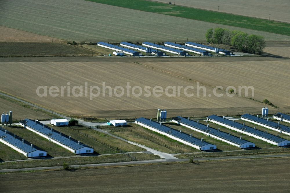 Aerial image Oppin - Animal breeding equipment Livestock breeding for meat production in Oppin in the state Saxony-Anhalt, Germany