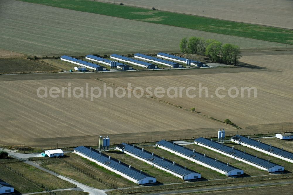 Aerial photograph Oppin - Animal breeding equipment Livestock breeding for meat production in Oppin in the state Saxony-Anhalt, Germany