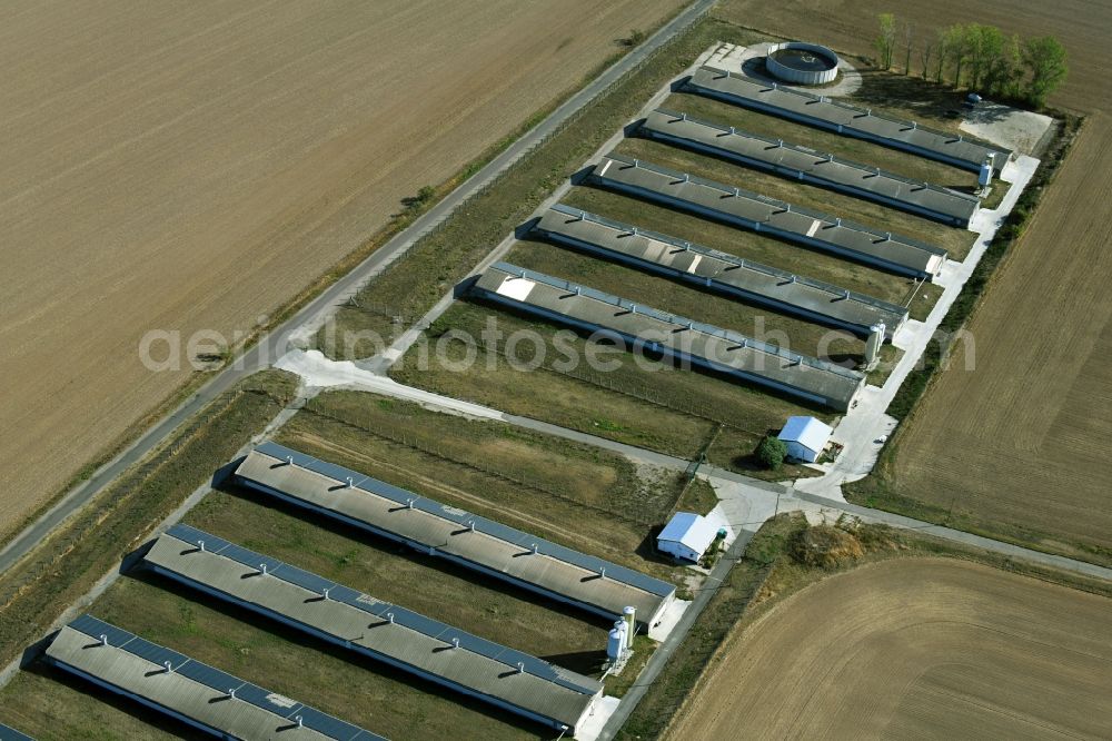 Aerial photograph Oppin - Animal breeding equipment Livestock breeding for meat production in Oppin in the state Saxony-Anhalt, Germany