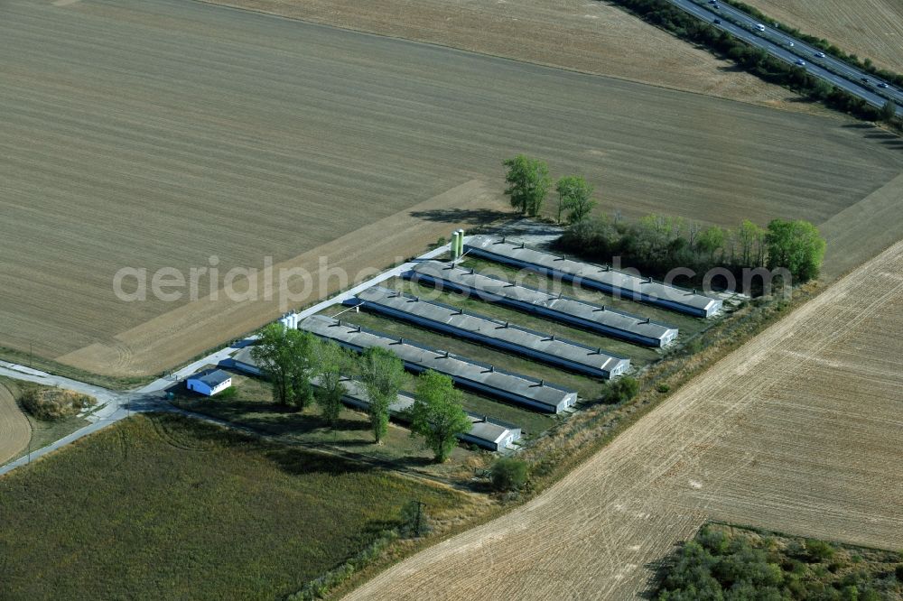 Oppin from above - Animal breeding equipment Livestock breeding for meat production in Oppin in the state Saxony-Anhalt, Germany