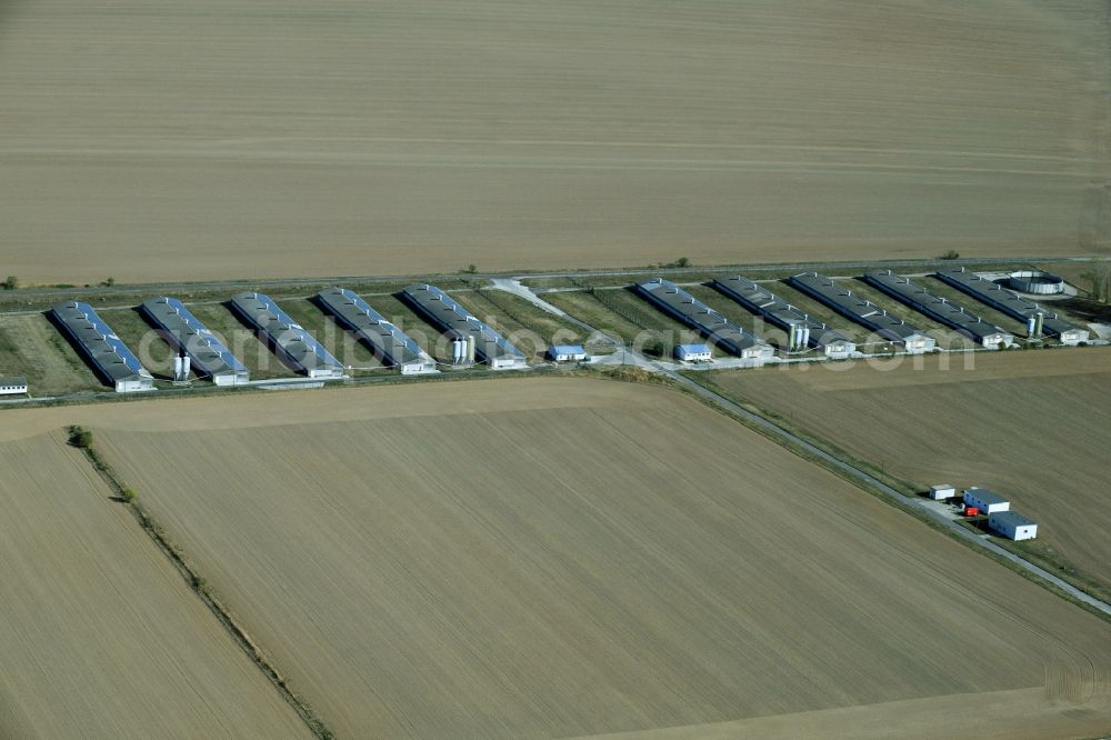 Aerial image Oppin - Animal breeding equipment Livestock breeding for meat production in Oppin in the state Saxony-Anhalt, Germany