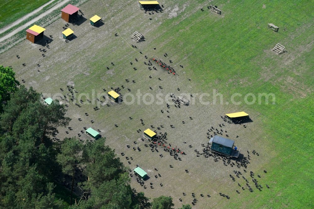 Ziegendorf from the bird's eye view: Animal breeding equipment Livestock breeding for meat production on a turkey farm in Ziegendorf in the state Mecklenburg - Western Pomerania, Germany