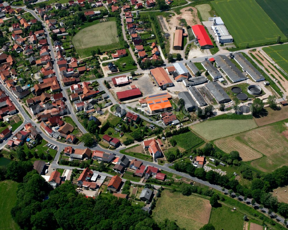 Reinholterode from above - Animal breeding equipment Livestock breeding for meat production on street Langer Rain in Reinholterode in the state Thuringia, Germany